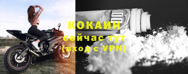 прущие крисы Абаза