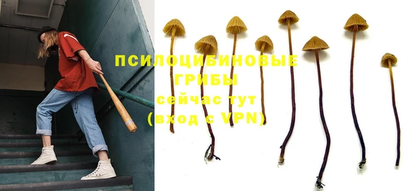 круглые Алексин