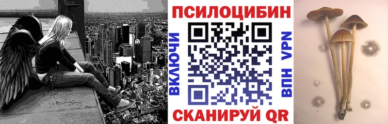 Псилоцибиновые грибы прущие грибы  Хабаровск 