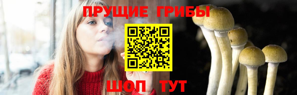 Галлюциногенные грибы мухоморы  Вход с VPN  Хабаровск 